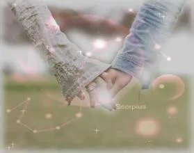 国内有哪些电视相亲节目？