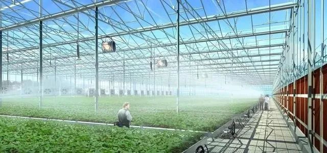 国家级现代农业示范区的标准？