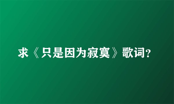 求《只是因为寂寞》歌词？