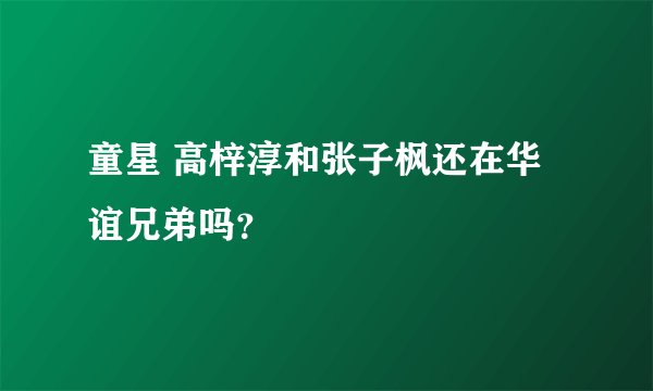 童星 高梓淳和张子枫还在华谊兄弟吗？