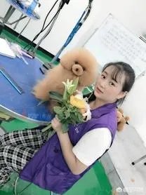 选择宠物美容师培训学校哪家比较好呢？