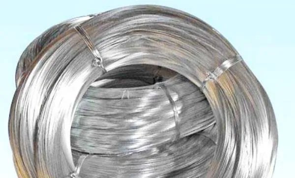 一位名叫努西达的人罹患一种罕见疾病，她从大学时身体就开始不断长出铁丝，这是为什么？