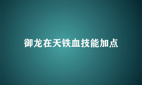 御龙在天铁血技能加点