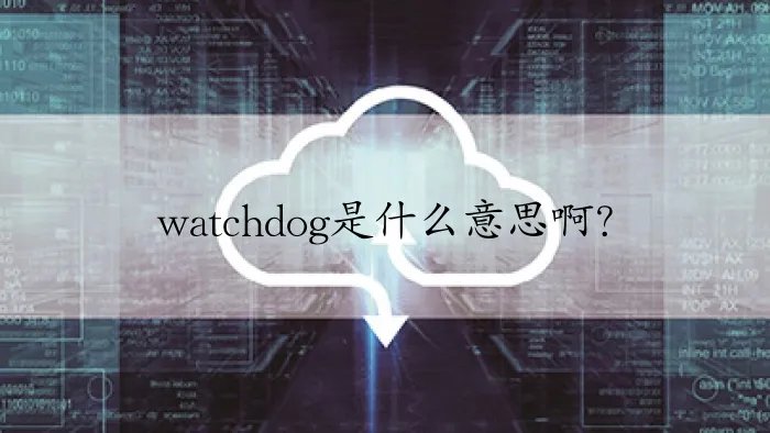 watchdog是什么意思啊？