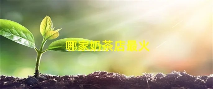 哪家奶茶店最火