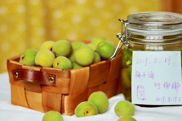青梅酒的制作方法步骤