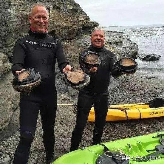 青岛再现天价海鲜一只鱼竟然500元,为何这种现象还会再出现?