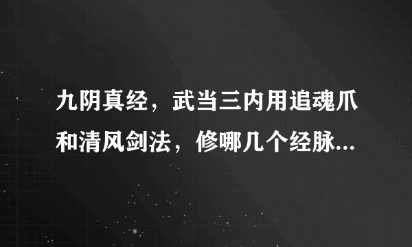 九阴真经，武当三内用追魂爪和清风剑法，修哪几个经脉，具体点，还用学其他门派内功吗，求指导，大神来，
