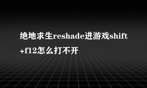 绝地求生reshade进游戏shift+f12怎么打不开