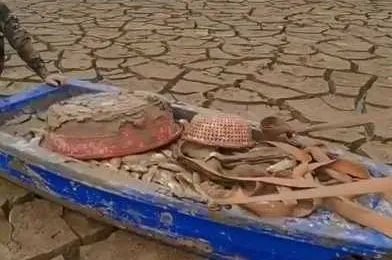 鄱阳湖水位下降导致鱼搁浅,村民捡鱼,捡鱼行为是否存在安全隐患?