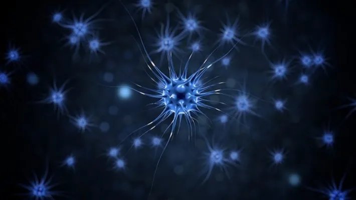 广东新增4例本土确诊其中1例无症状 无症状感染是怎么被发现的