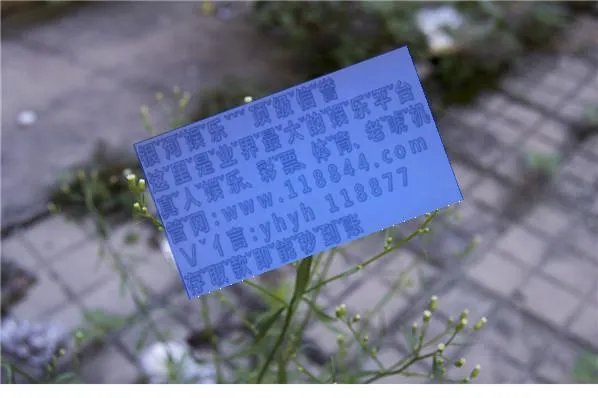 微信买世界杯如果赢了一场比赛得了奖金后会退本金嘛？