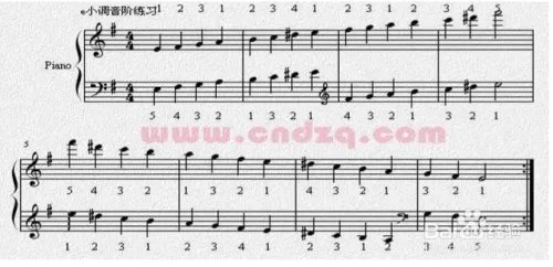 钢琴初学者基本教程