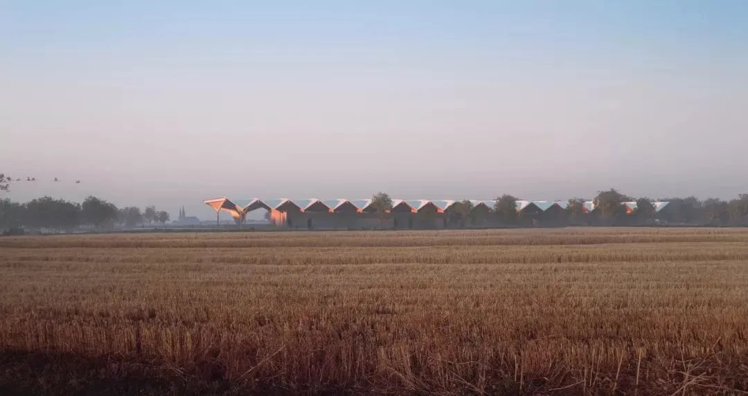 神“PS”！一张图卖3万6，不得改图催图，却让无数甲方跪求合作！