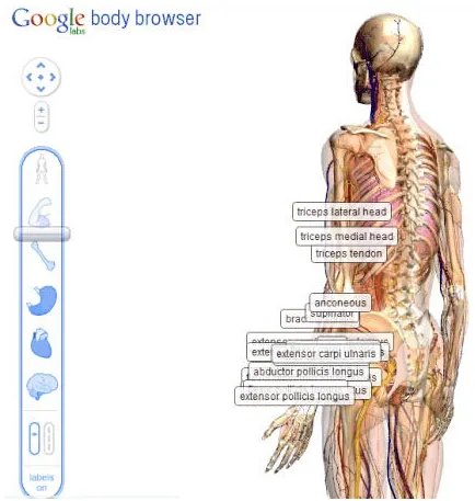 google人體瀏覽器安裝