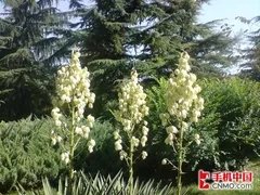 拍照效果：用事实说话