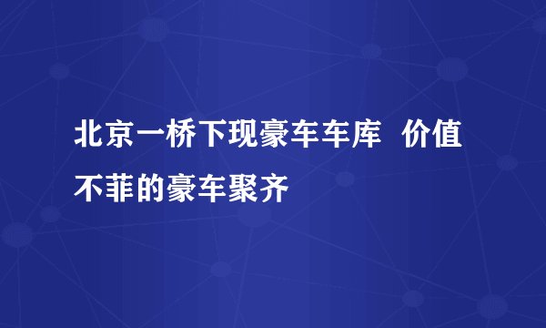 北京一桥下现豪车车库  价值不菲的豪车聚齐