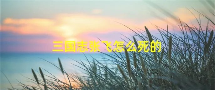 三国志张飞怎么死的