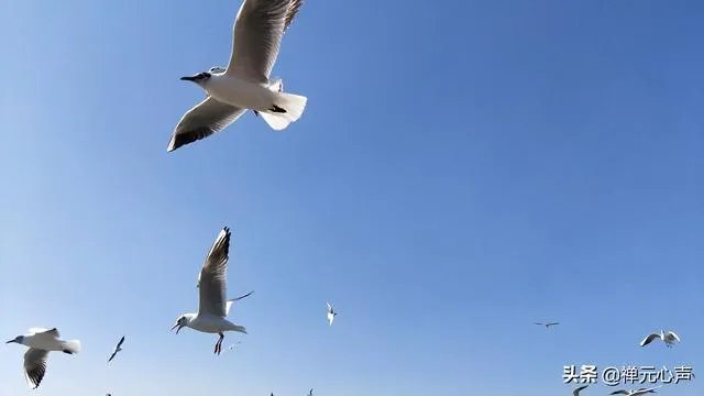 2021年的春节你是怎么过的？