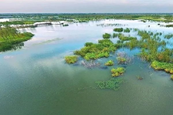 湿地为什么称为地球之肾