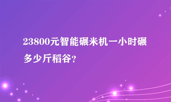 23800元智能碾米机一小时碾多少斤稻谷？