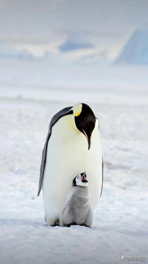 黑龙江还有可能爆发疫情吗？