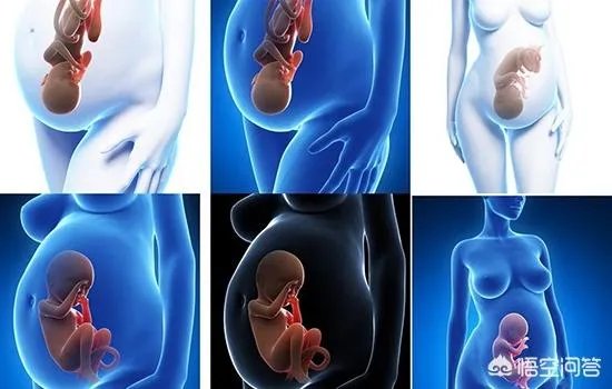 为什么有些溺水死亡的人被人拉上来胳膊和腿都是卷曲着的？