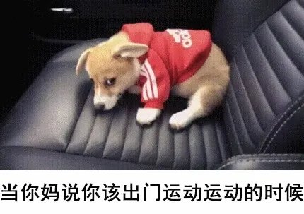 黑丝萌妹大战触手！夙愿得偿的邪恶动态图