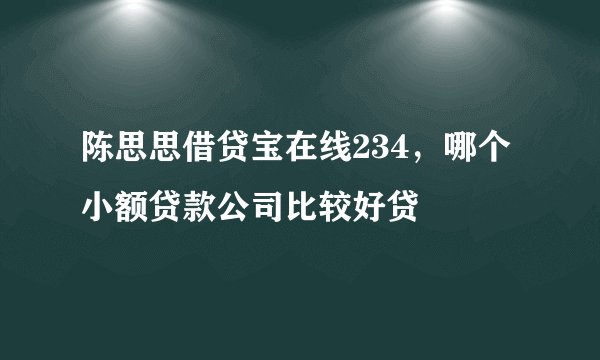 陈思思借贷宝在线234，哪个小额贷款公司比较好贷