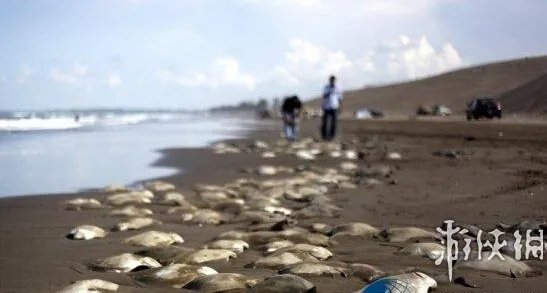 海滩惊现怪兽尸体 盘点10大轰动全球的海滩神秘怪兽