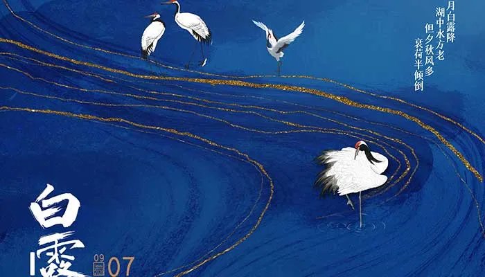 2023年白露是几点几分几秒 2023年白露在什么时间几点几分