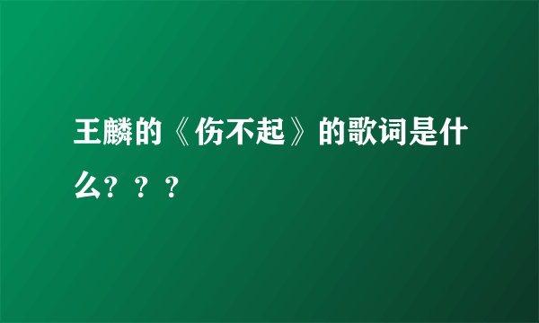 王麟的《伤不起》的歌词是什么？？？