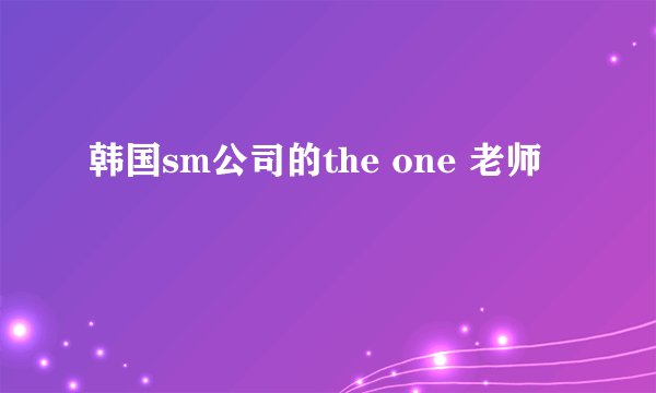 韩国sm公司的the one 老师