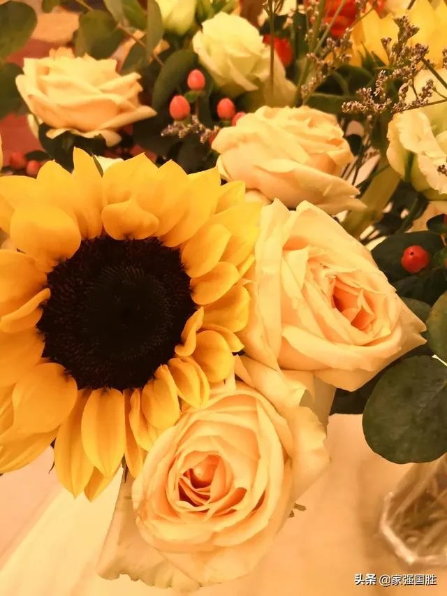 哪一个浏览器比较好用？