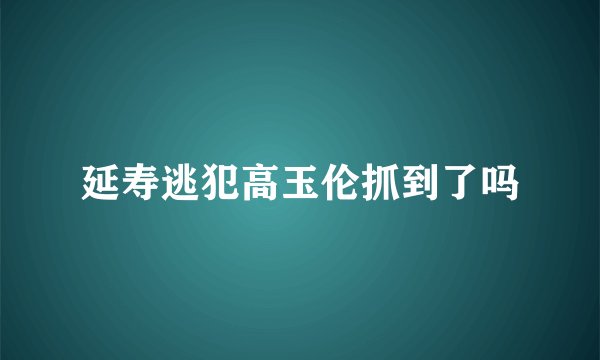 延寿逃犯高玉伦抓到了吗