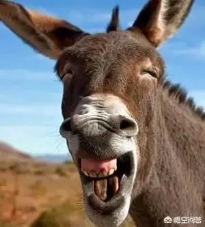 的哥捡到3万包归还时要求打表，结果遭到失主投诉，你会站谁一边？