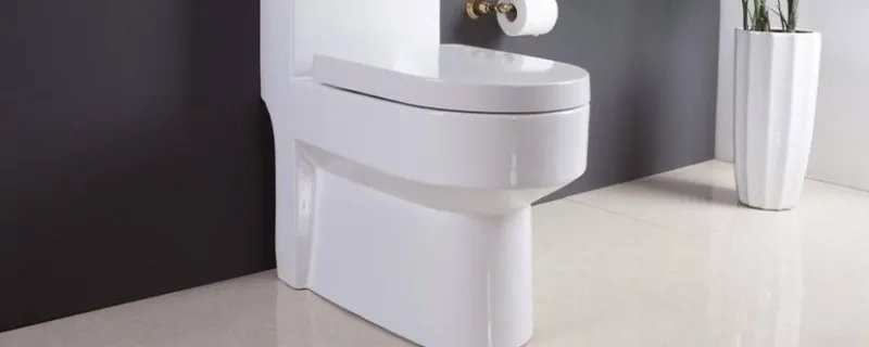 有移位器不可以用虹吸马桶吗