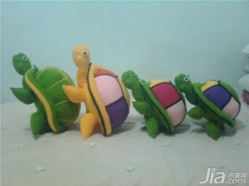 怎样辨别乌龟的种类 乌龟的种类及图片欣赏