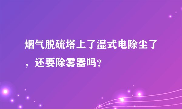 烟气脱硫塔上了湿式电除尘了，还要除雾器吗？