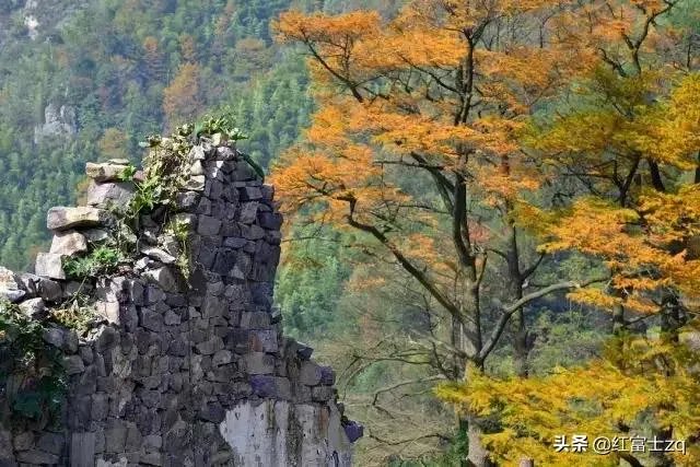 外出旅行住什么酒店最划算？