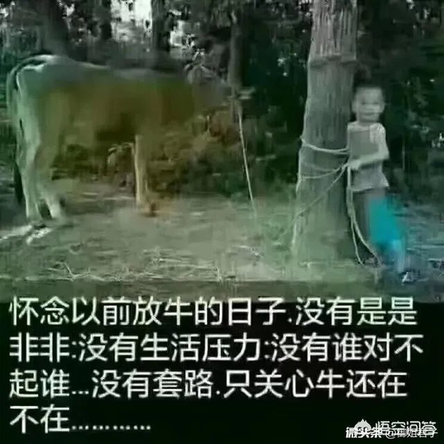 假如有人给你50元一天让你不接触手机，你能坚持多久？