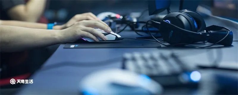 dwg是哪个国家的战队