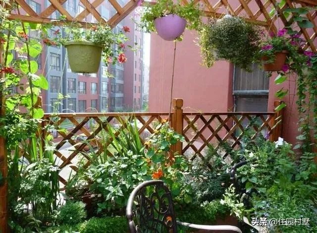 院子外墙用实墙好还是做护栏好？