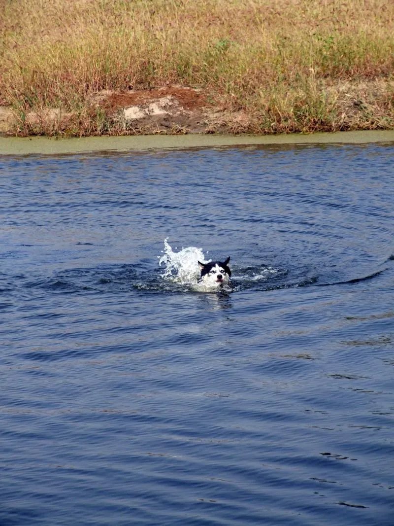 潮白河旅游度假区的简介