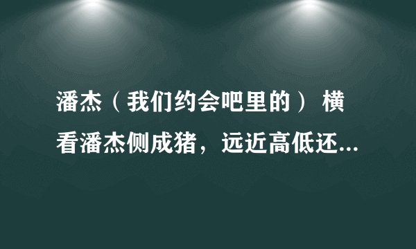 潘杰（我们约会吧里的） 横看潘杰侧成猪，远近高低还是猪。不懂神的真面目，潘杰答道我是猪。