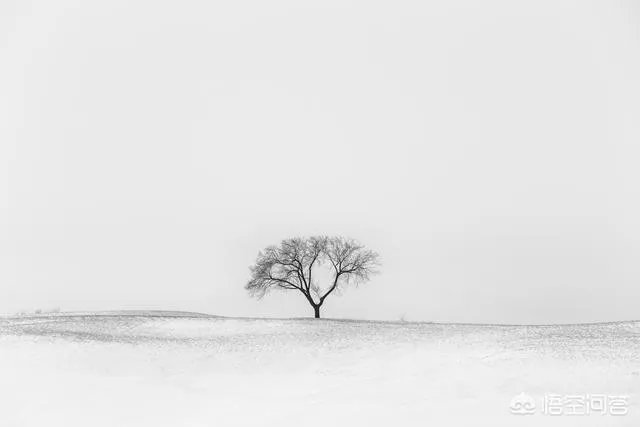 为何说佳能6D Mark II美中不足？