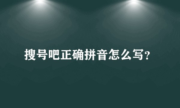 搜号吧正确拼音怎么写？