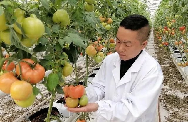 国家级现代农业示范区的标准？