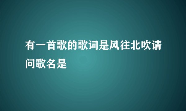 有一首歌的歌词是风往北吹请问歌名是