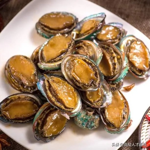 青岛再现天价海鲜一只鱼竟然500元,为何这种现象还会再出现?